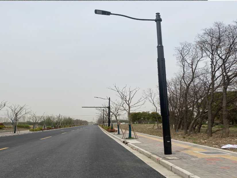 德宏傣族景颇族自治州上海综合杆 太阳能路灯工程